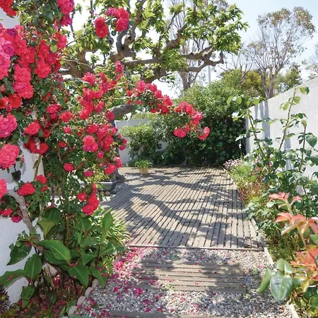 Awesome In Lucciana With 3 Bedrooms And Wifi Semesterbostad *