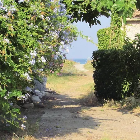 Semesterbostad Awesome In Lucciana With 3 Bedrooms And Wifi Lucciana (Corsica)